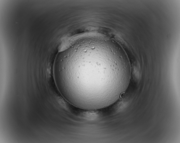 X0000085010668200703121523