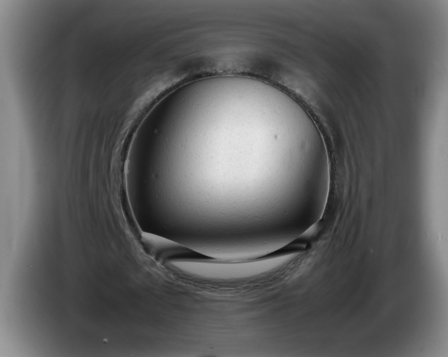 X0000085010673200703121522