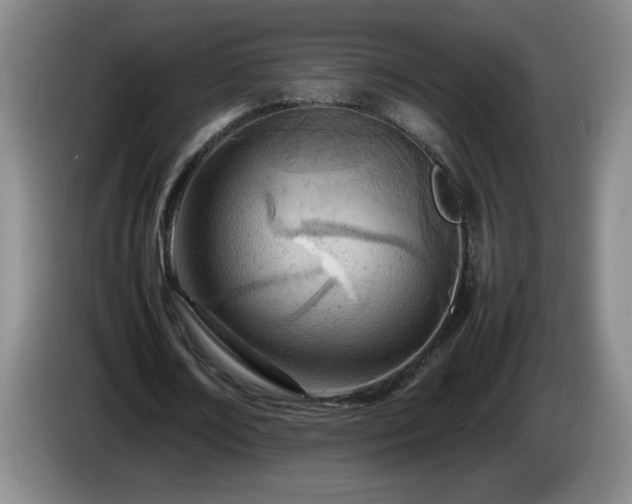 X0000085010674200703121522