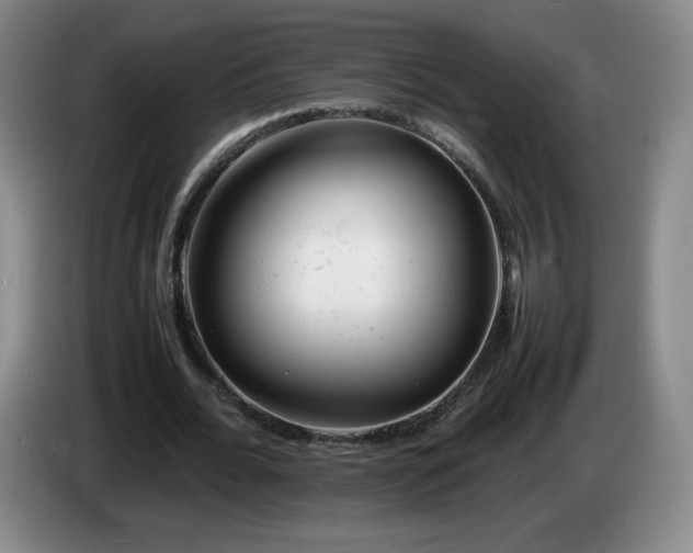 X0000085010676200703121522