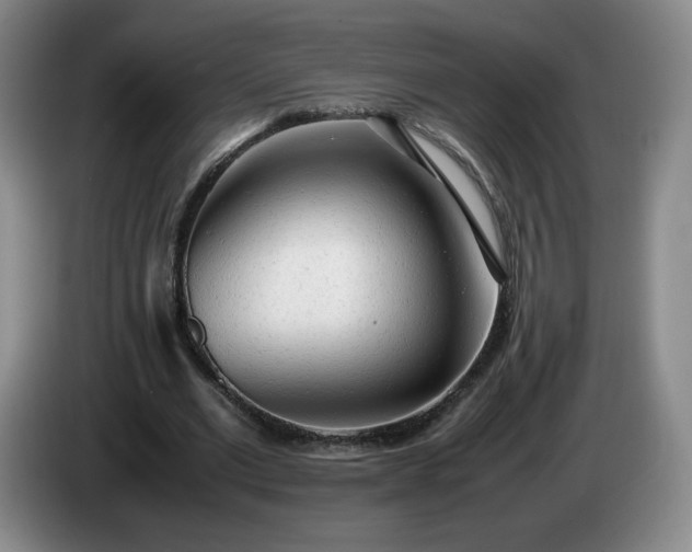 X0000085010677200703121522