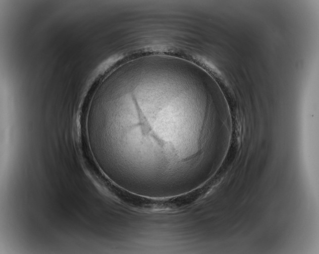 X0000085010678200703121522