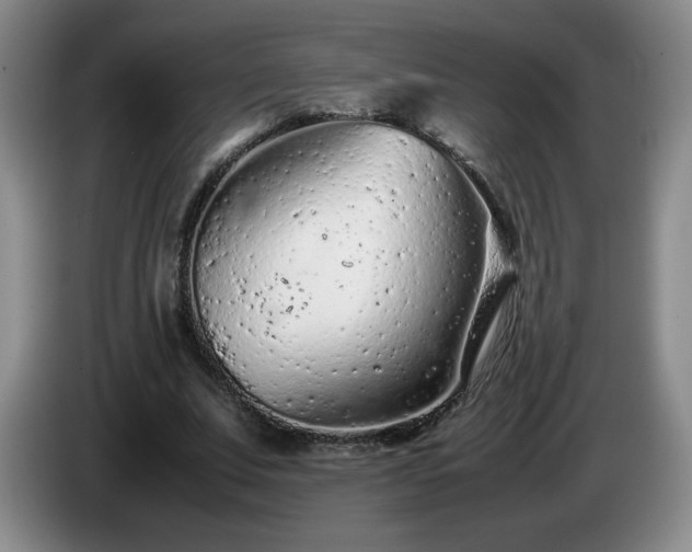 X0000085010679200703121522