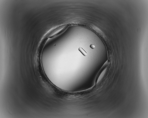 X0000085010680200703121522