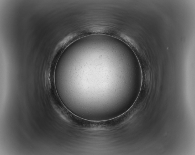 X0000085010682200703121522