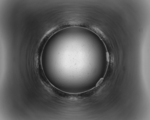 X0000085010684200703121522