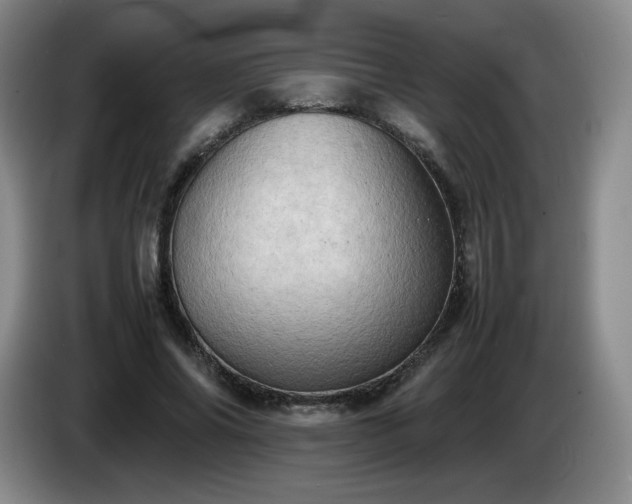 X0000085010686200703121522