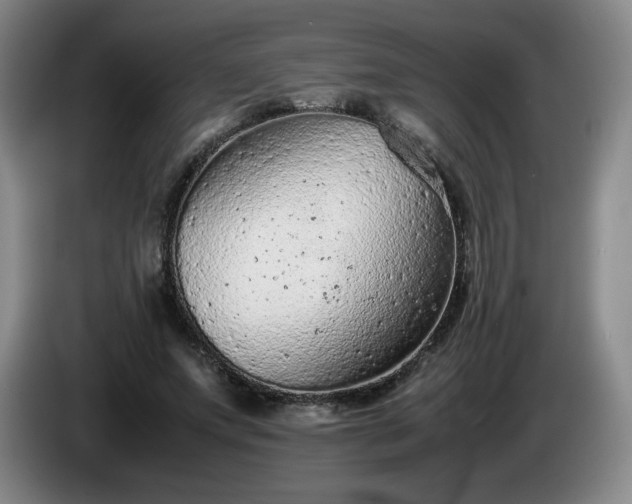 X0000085010687200703121522