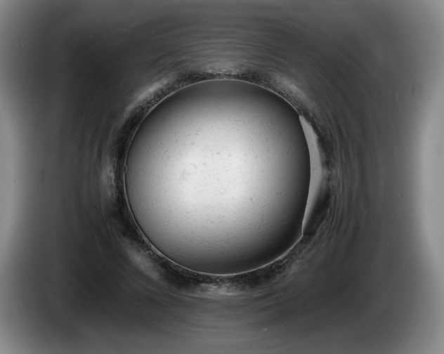 X0000085010688200703121522