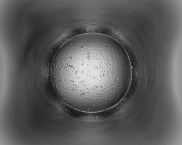 X0000085010691200703121522