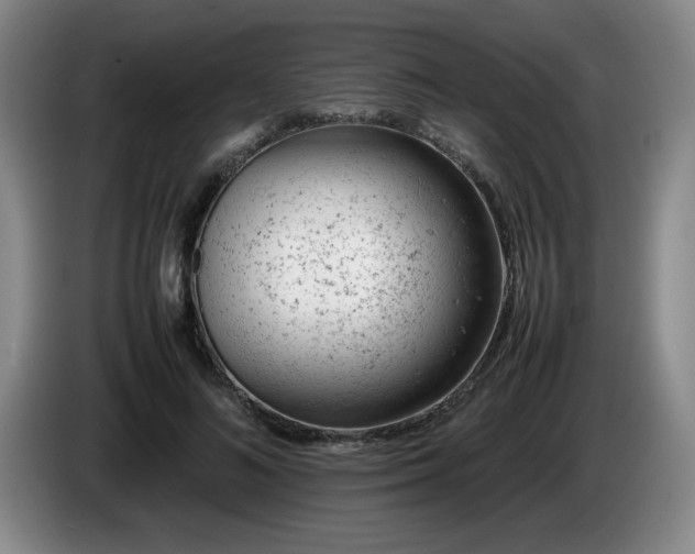 X0000085010692200703121522