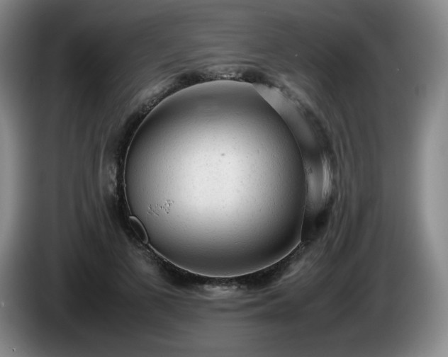 X0000085010693200703121522