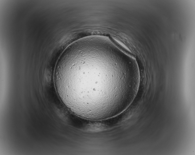 X0000085010695200703121522