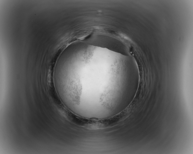 X0000085010696200703121522