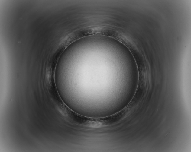 X0000085010698200703121522