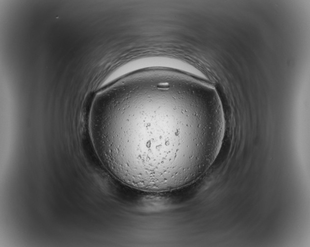X0000085010699200703121522