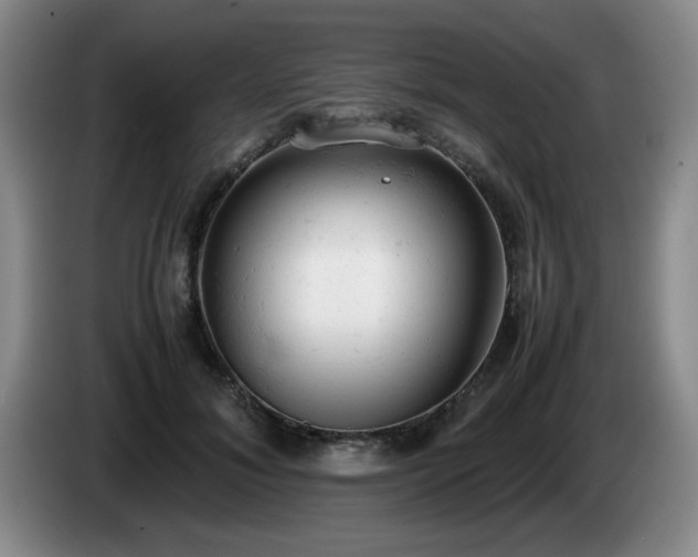 X0000085010700200703121522