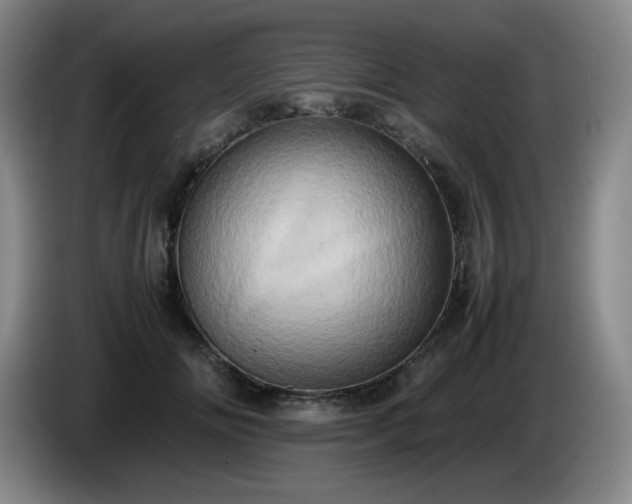 X0000085010702200703121522