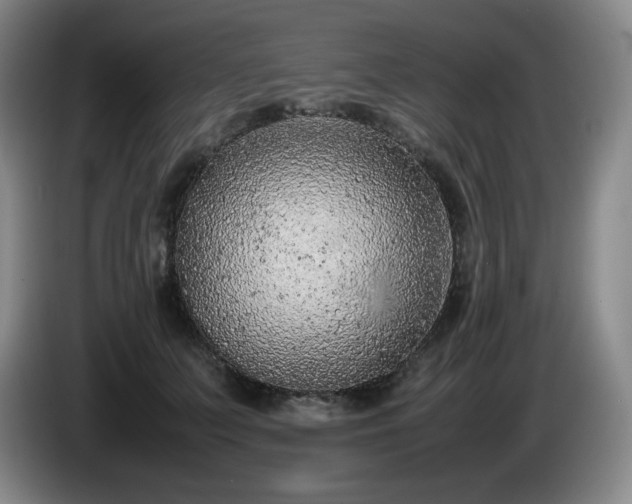 X0000085010703200703121522