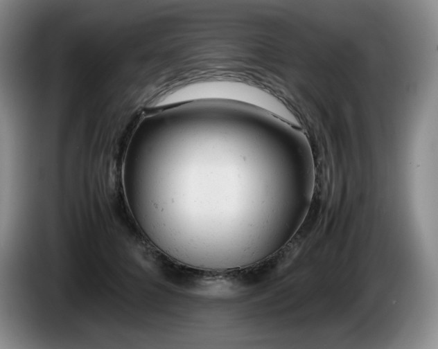 X0000085010704200703121522