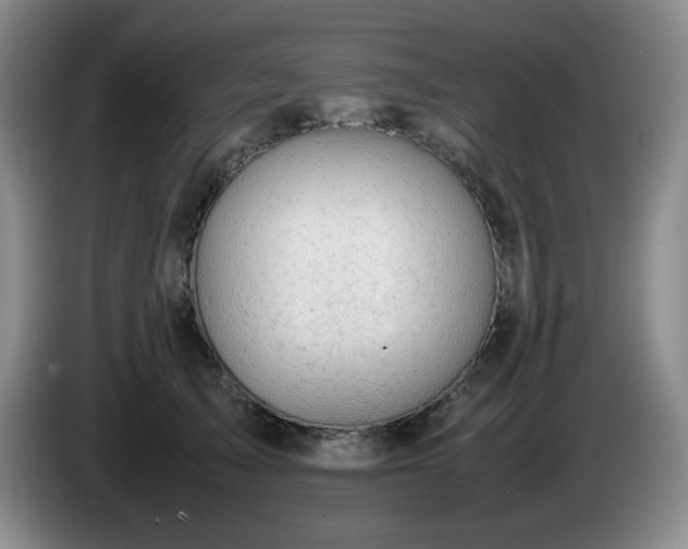 X0000085010705200703121522