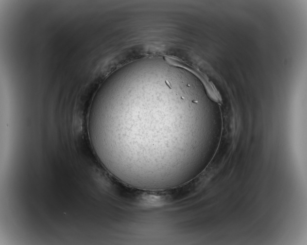X0000085010706200703121522