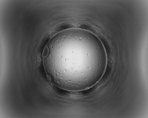 X0000085010707200703121522