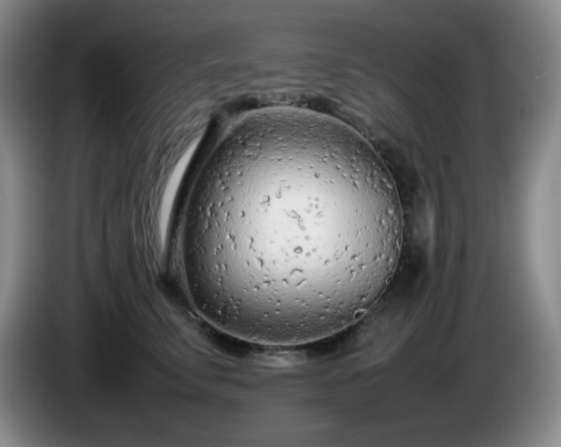 X0000085010711200703121521