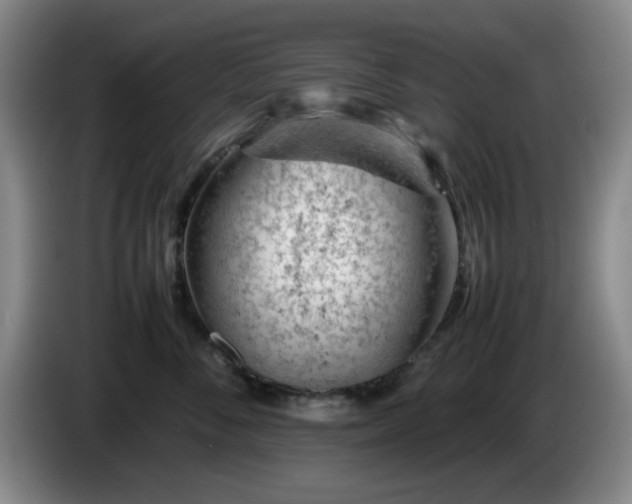 X0000085010716200703121521
