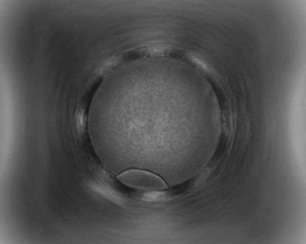 X0000085010718200703121521