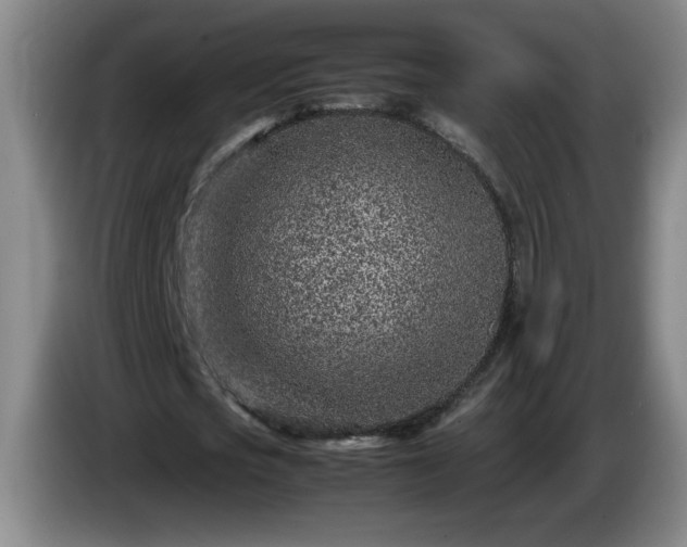 X0000085010721200703121521