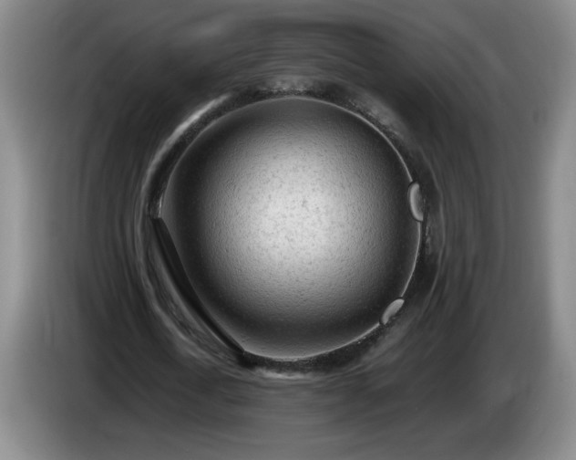 X0000085010722200703121521