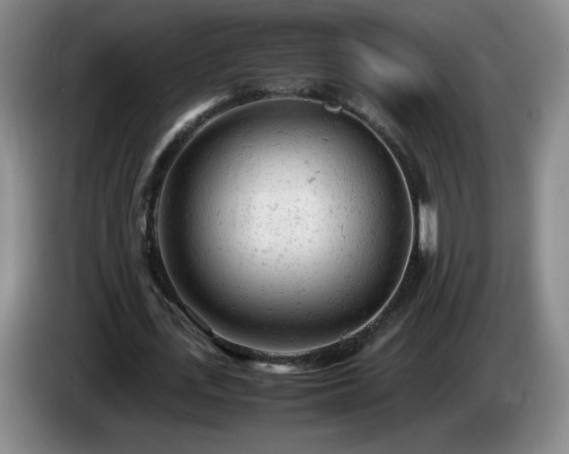 X0000085010723200703121521