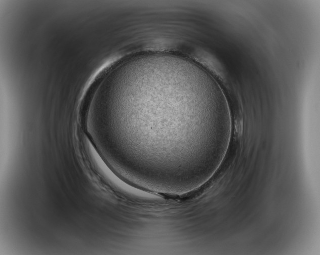 X0000085010724200703121521