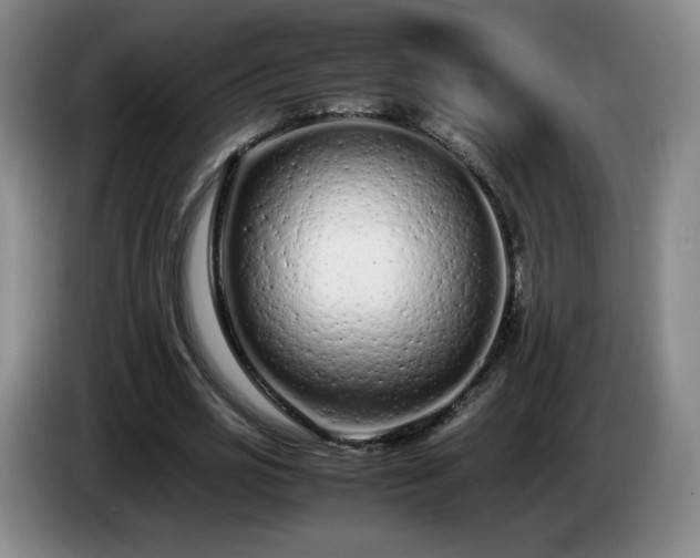 X0000085010725200703121521