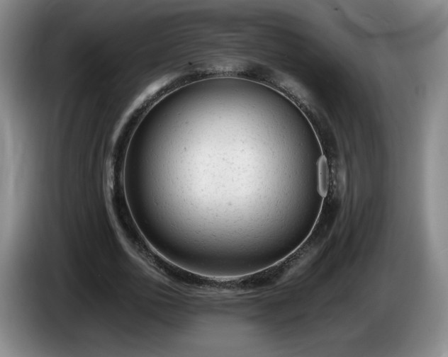 X0000085010726200703121521