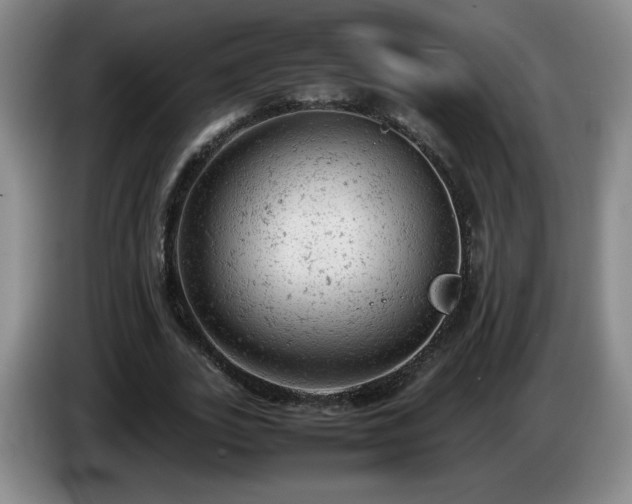 X0000085010727200703121521