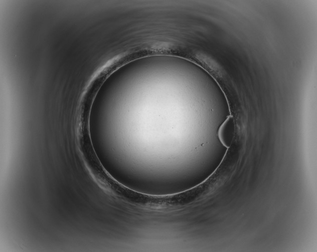 X0000085010728200703121521