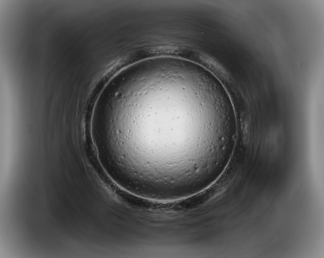 X0000085010729200703121521