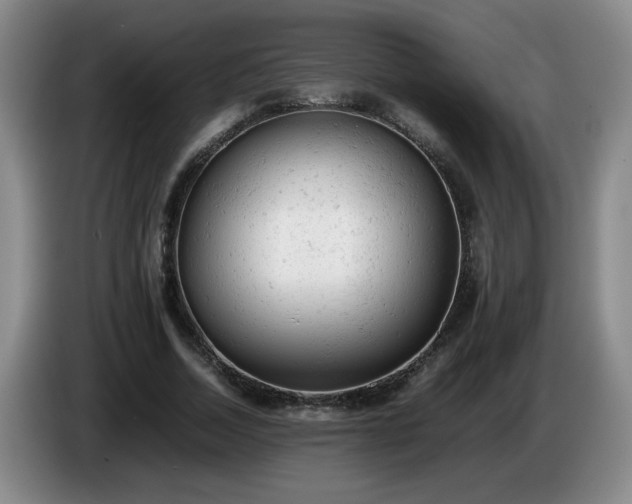 X0000085010730200703121521