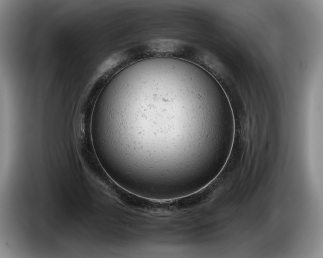 X0000085010731200703121521