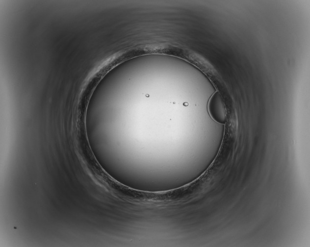 X0000085010732200703121521
