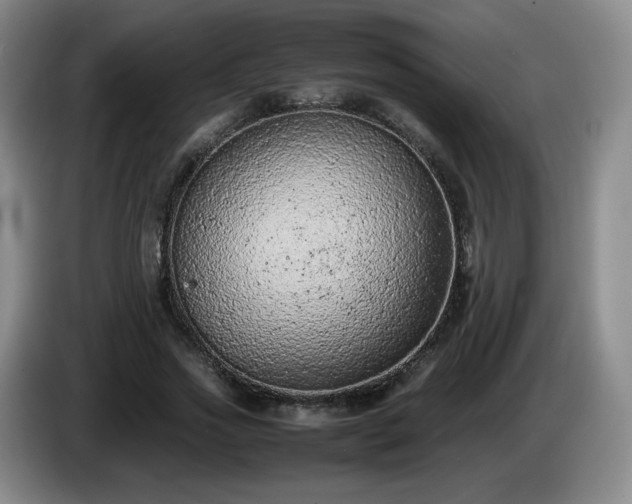 X0000085010733200703121521