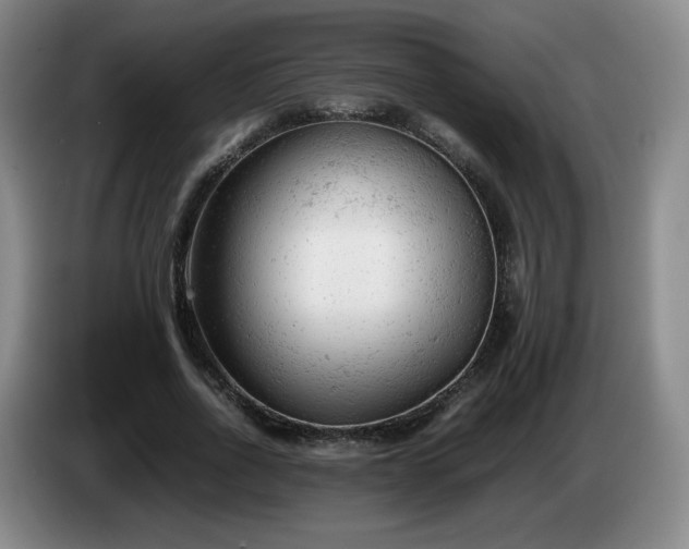 X0000085010734200703121521