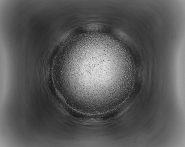 X0000085010737200703121521