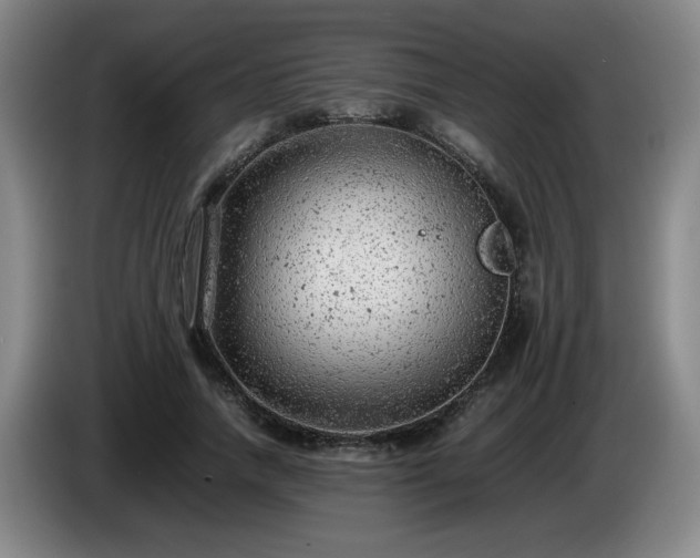 X0000085010738200703121521