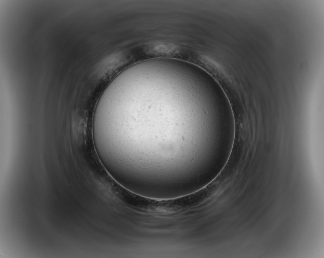 X0000085010739200703121521