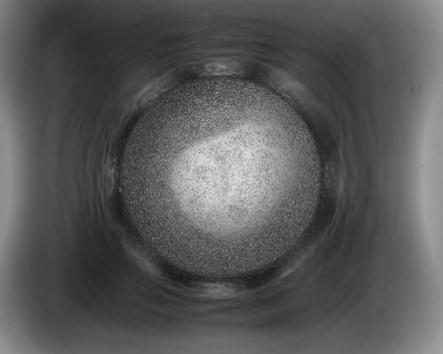 X0000085010741200703121521