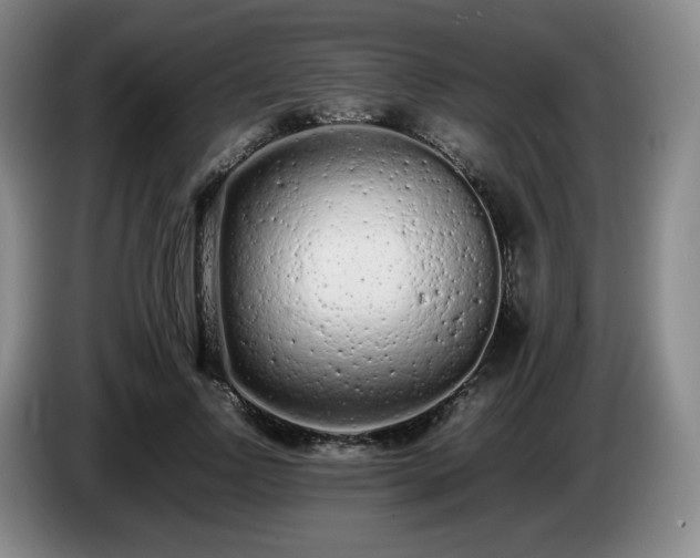 X0000085010742200703121521