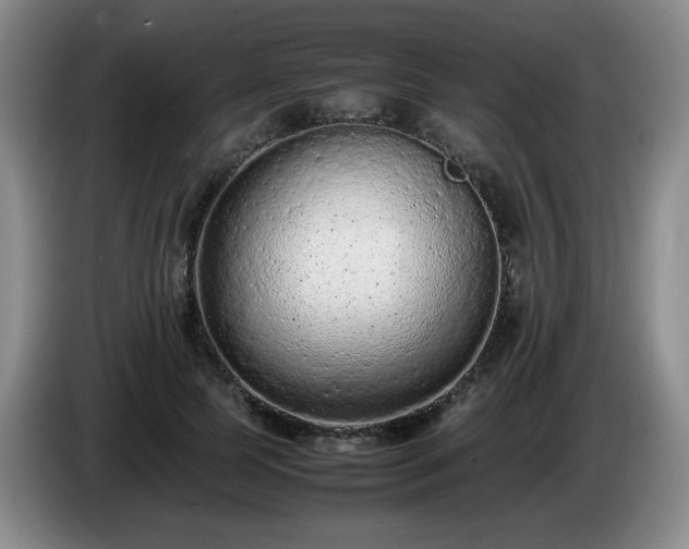 X0000085010745200703121521